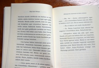 Migel Anjel Mintegi. Bidelapurrak