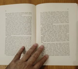 La batalla de Vitoria. Guerra napoleonica