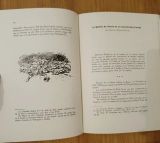 La batalla de Vitoria. Guerra napoleonica
