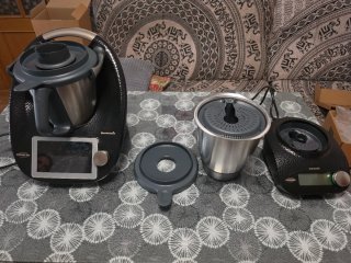 Thermomix TM6 Edición Piel Serpiente + Friend