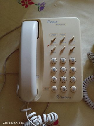 Lote 2 teléfonos fijos Alcatel y Forma