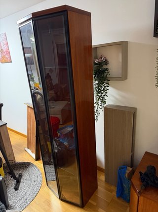 Vitrina cristal estantes madera y metal