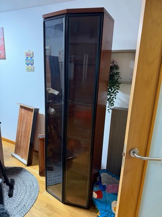 Vitrina cristal estantes madera y metal