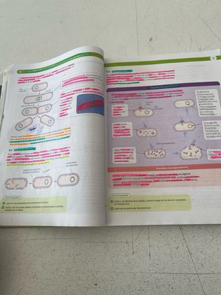 Biología, Geología y Ciencias Ambientales 1 Bac...