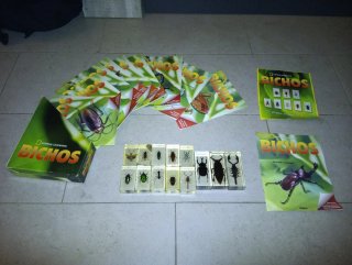 Insectos en resina de National geographic
