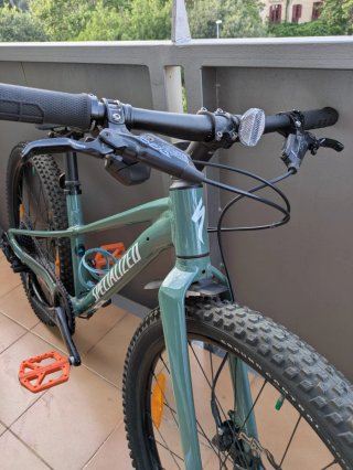 Bicicleta Infantil Specialized Riprock 24