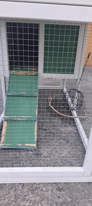 Jaula para conejos verde y blanca