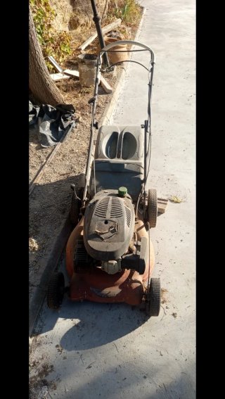Cortadora de césped a gasolina