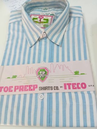 Camicia uomo JOE PREEP righe azzurre M