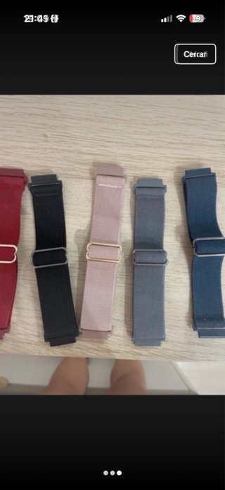 Correas Garmin 655