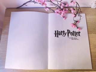 Harry Potter: Libro antiguo para colorear