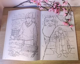 Harry Potter: Libro antiguo para colorear