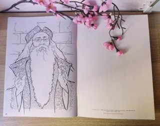 Harry Potter: Libro antiguo para colorear