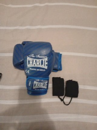 Guantes de Boxeo Charlie 14oz