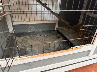 Casita para conejos de madera