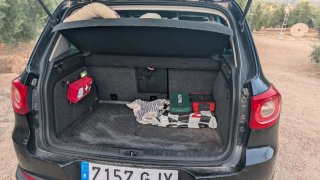 Volkswagen Tiguan 2008