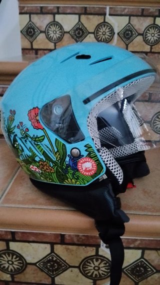 Casco Moto Ciclomotor Azul Dibujo Insectos