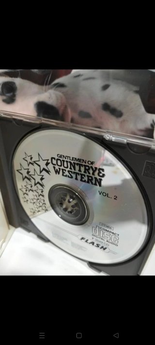 CD Gentlemen of Country and Western Vol. 2