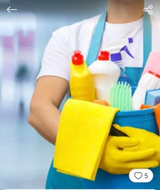 Servicio domestico