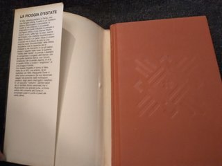 Marguerite Duras – “La pioggia d’estate” – 1992