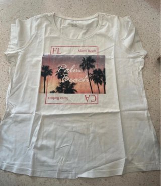 Lote de Camisetas