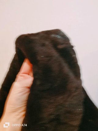 Abrigo señora XXL negro