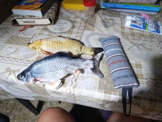 Juguetes para mascotas: peces de peluche