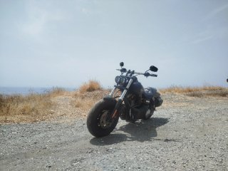 Harley Davidson Dyna FatBob Negra