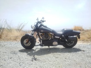 Harley Davidson Dyna FatBob Negra