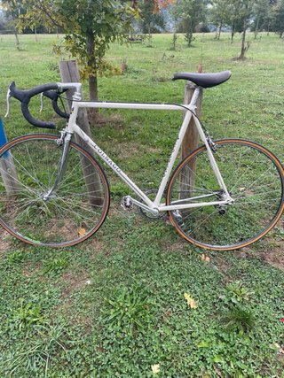 Bici Carretera Colnago Nuevo Mexico