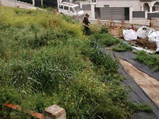 Servicio de jardinería