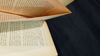 A Gata Borralheira - Tomaz de Figueiredo