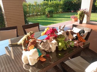 Lotto 13 Peluche ,Animali Vari,originali e nuovi
