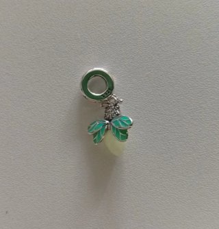 Charm Luciérnaga Brilla Oscuridad