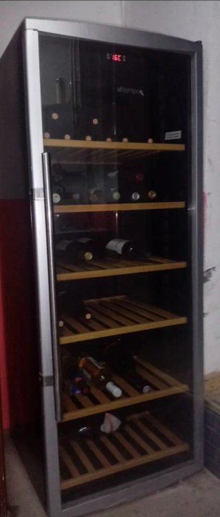 Vinoteca Vitempus Vi 100