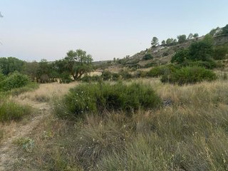 Parcela rústica villar del Olmo