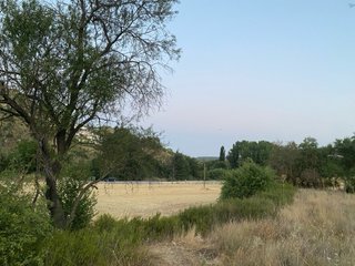 Parcela rústica villar del Olmo