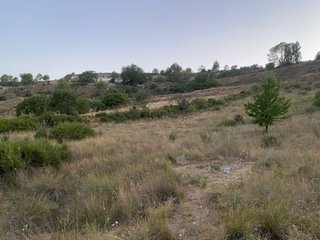 Parcela rústica villar del Olmo