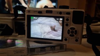 Panasonic Lumix GF1 Cámara Digital