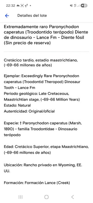 Diente Fósil Dinosaurio Certificado