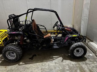 Buggy Moon 2026