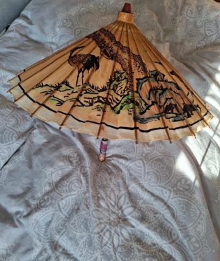 Paraguas chino antiguo decorado