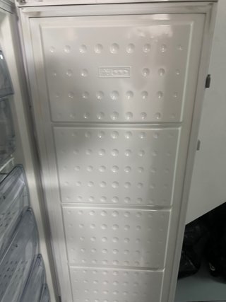 Título: Congelador Beko FN 121920 - 186L