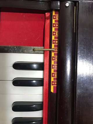Armonio Profesional India Kirtan