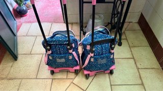 Lote 2 mochilas infantiles con carro