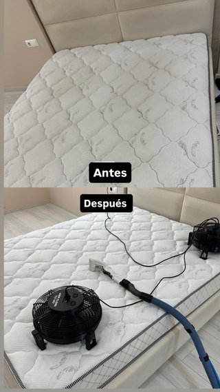 Limpieza en seco de muebles tapizados a domicilio.