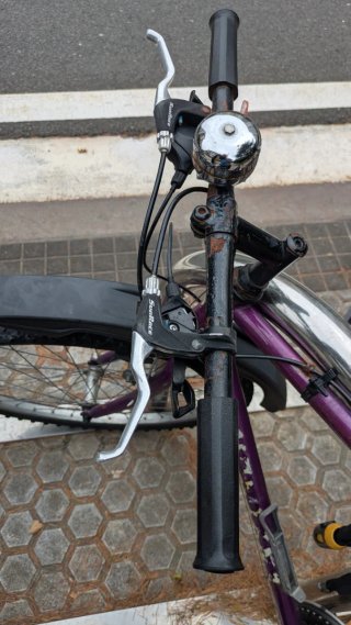 Bicicleta de Montaña Morada