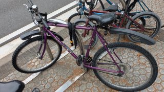 Bicicleta de Montaña Morada
