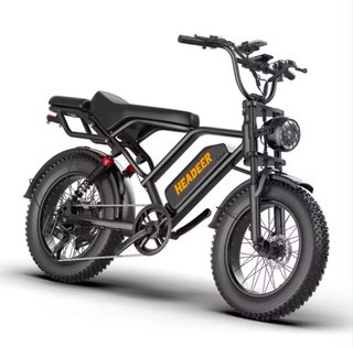 Fatbike Eléctrica HEADEER