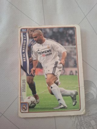 Cromo Michel Salgado Real Madrid 2003-04